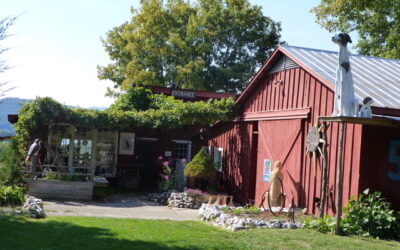 Norton’s Gallery