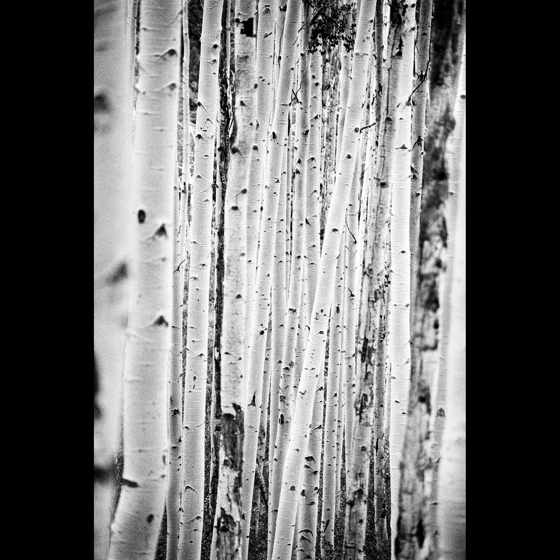 Axelrod Photography - Vertical Rise