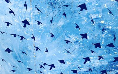 Jessica Scriver Studio