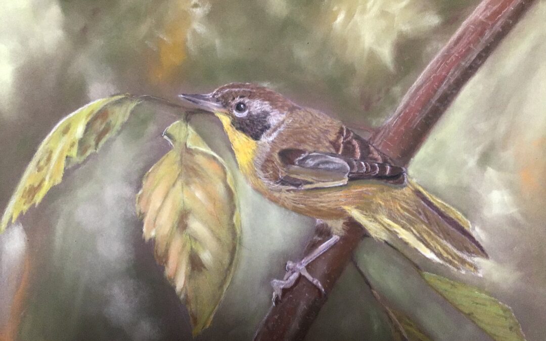 Jen’s Birds