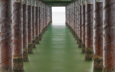 Jonathan Hart Photography