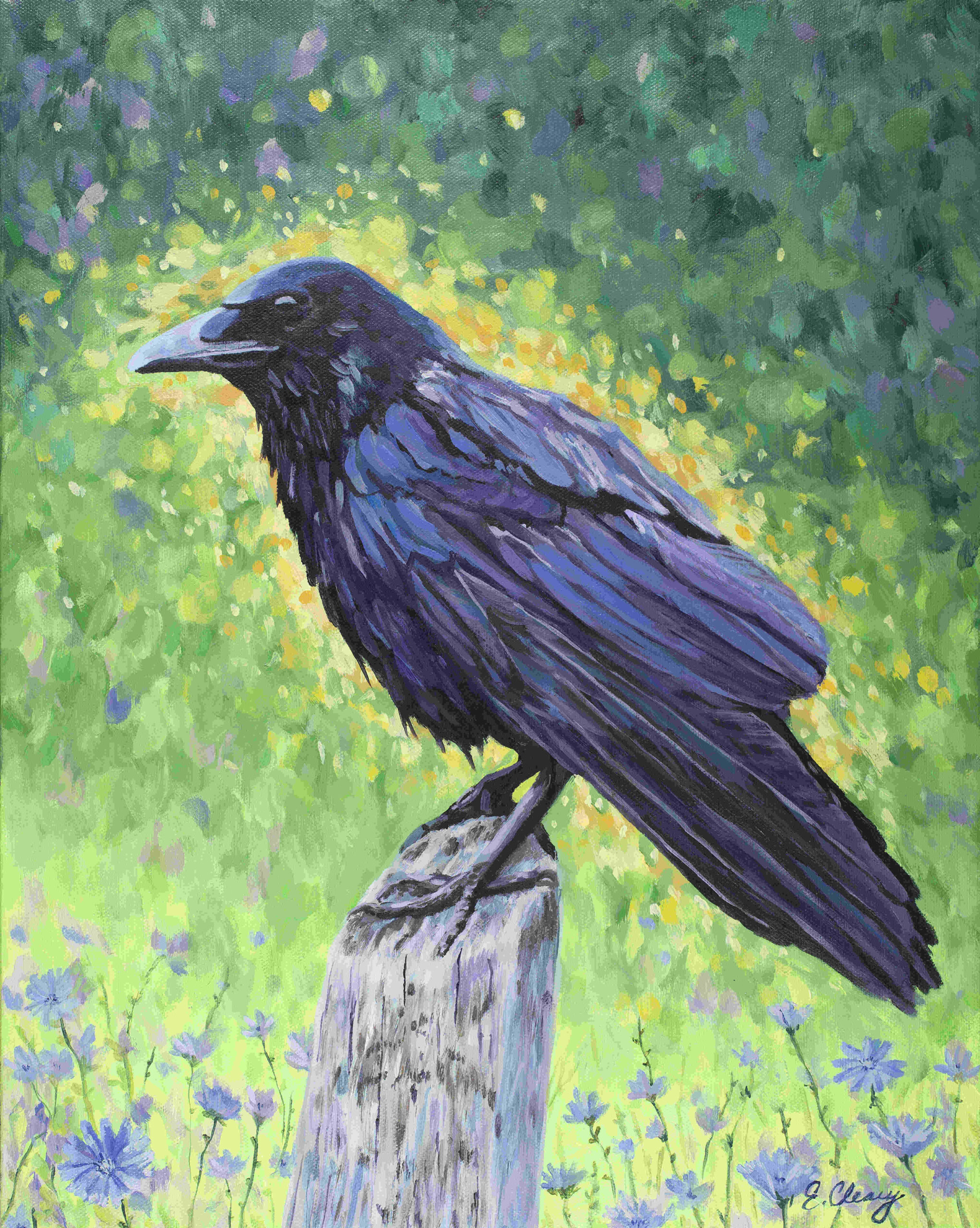 Crow with Chicory