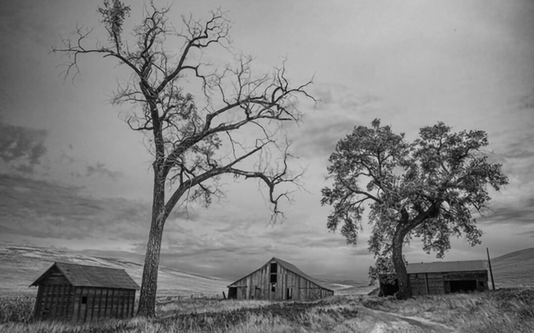 65 Pleasant Studio – Shapleigh Smith