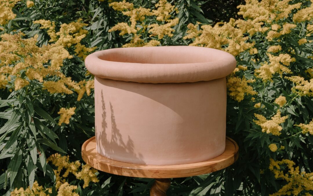 Spring Road Nursery – Bryan Dunbar