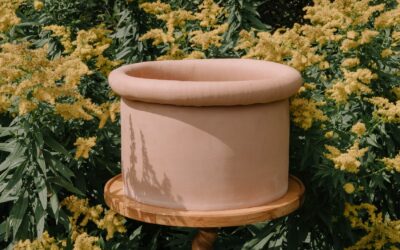 Spring Road Nursery – Bryan Dunbar