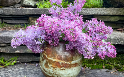Perry Hill Pottery