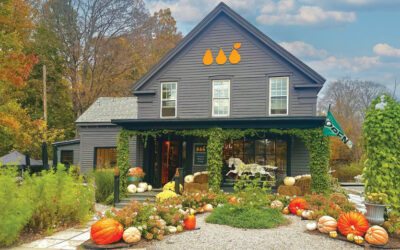 3 Pears Gallery