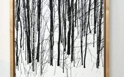 Fieldwork Vermont